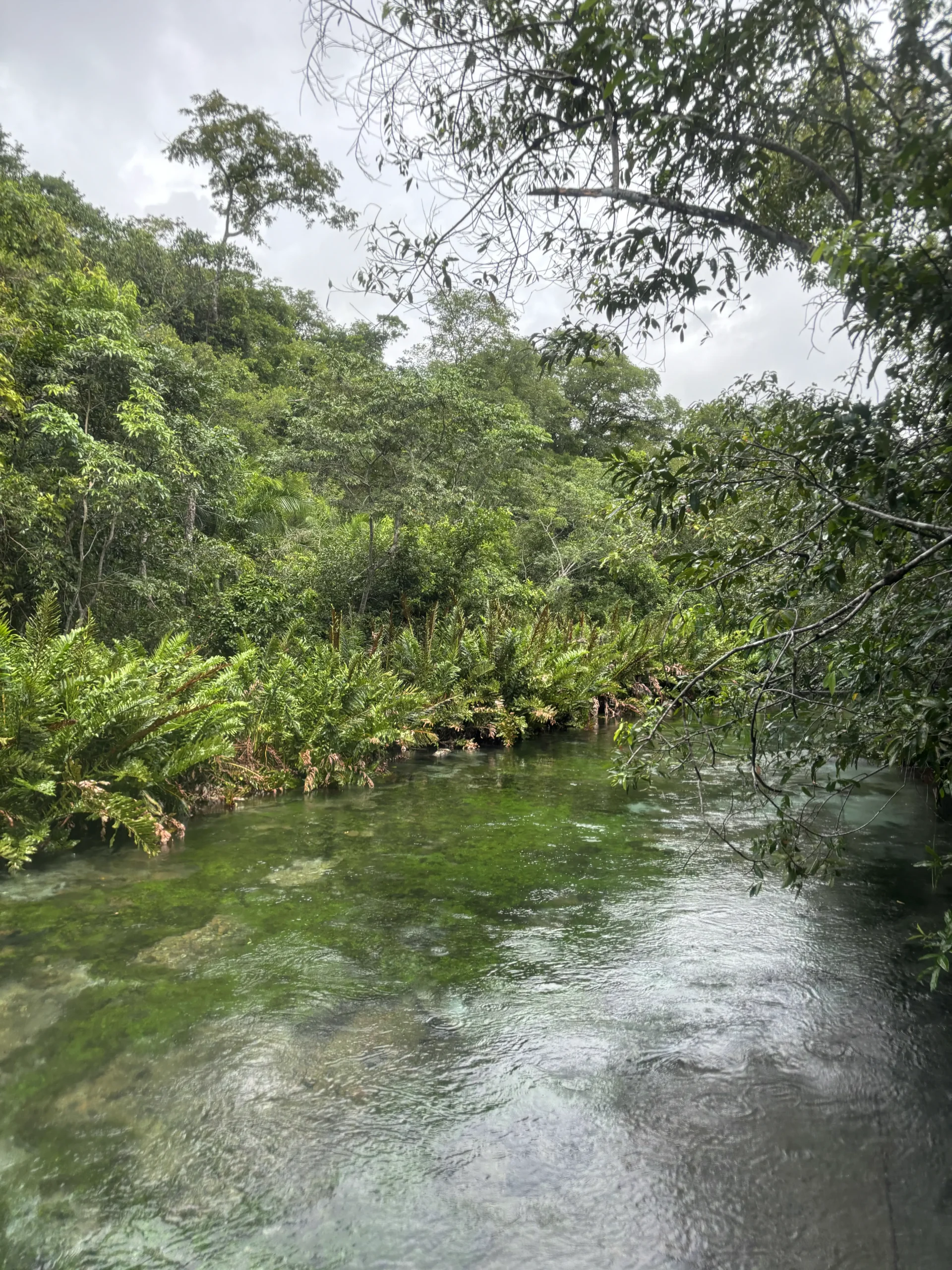 Excursions Bonito 